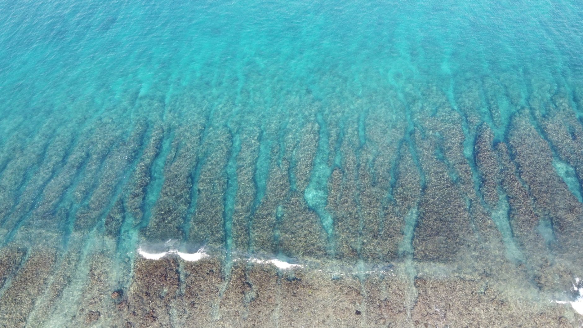 Tonga Home Reef eruption: The Real Impact of 1984