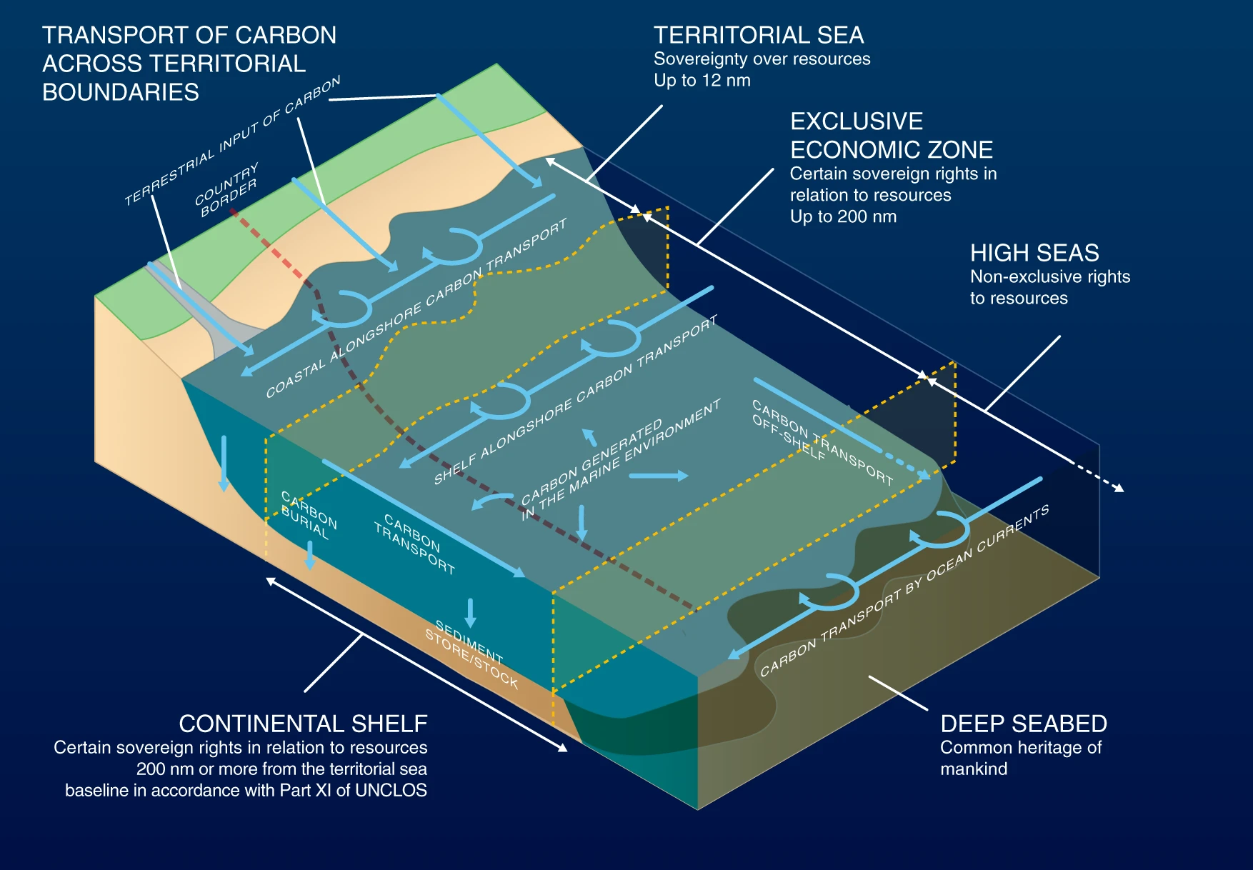 Carbon storage deep sea: Proven link to Earth’s cooling