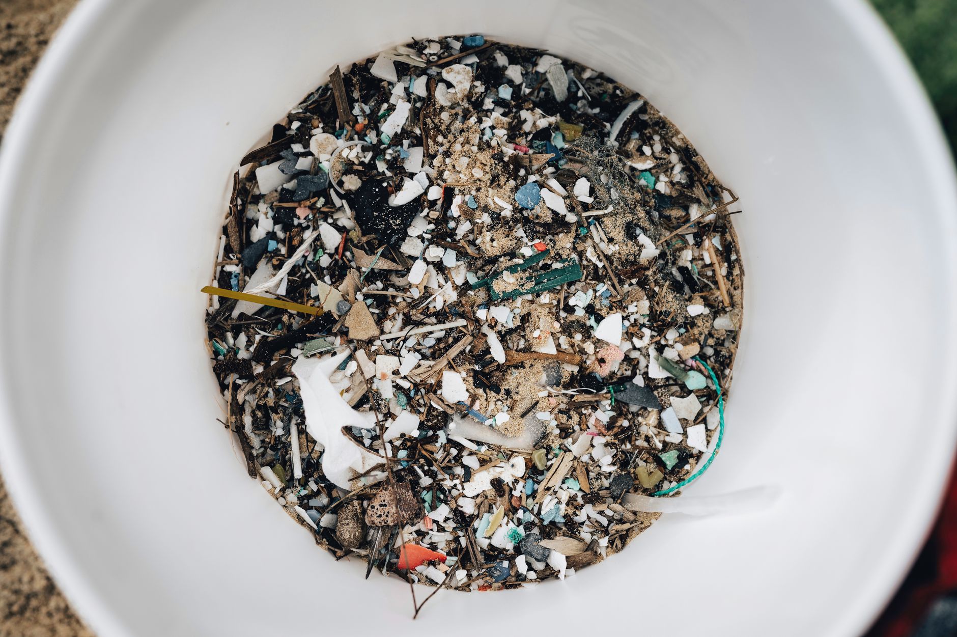 Microplastic harm reactions: Proven discoveries reveal dangers